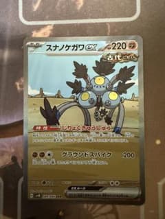 スナノケガワ sarのサムネイル