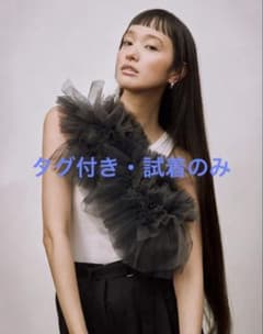 MARGE tulle decorative collar タグ付き試着のみ MARGE tulle decorative collar タグ付き試着のみ - メルカリ