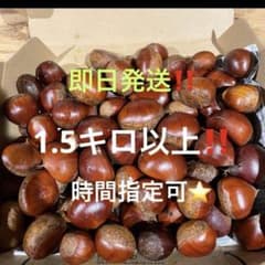 残り3セット割引中！鳥取県産　無農薬生栗　時間指定可　1.5キロのサムネイル