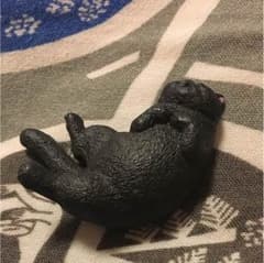 猫のサムネイル
