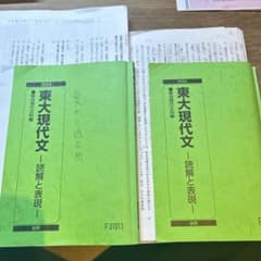 東大現代文 読解と表現 2024 前期後期 駿台 中野芳樹 - メルカリ