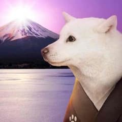 shu様専用 返金用のサムネイル