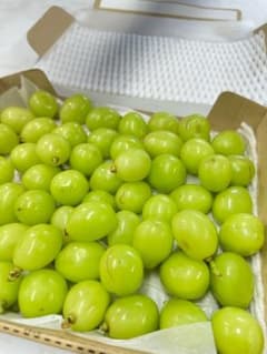 【本日発送！】シャインマスカット 粒 1.0 Kgのサムネイル