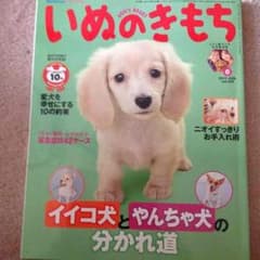 いぬのきもちのサムネイル