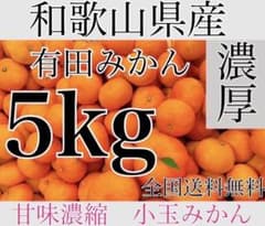 極早生　小玉　和歌山県産　有田みかん　【5kg】家庭用のサムネイル