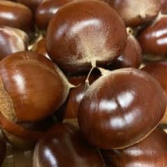 無農薬•上州産利平栗　１．２ｋｇ以上　渋皮煮•甘露煮にいかがでしょうかのサムネイル