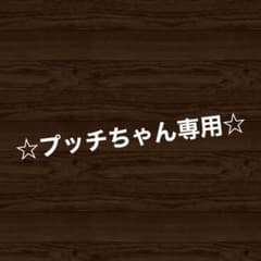☆プッチちゃん専用☆のサムネイル