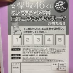 欅坂46くじ 専用応募用紙 ２セットのサムネイル