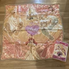 디즈니 프린세스 발레 DVD