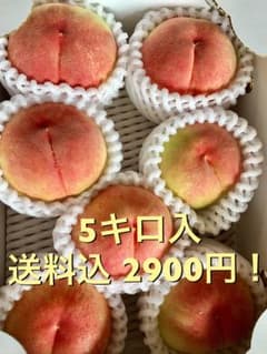 GB様専用 CX 二箱のサムネイル