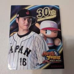 PS4 パワフルプロ野球2024-2025のサムネイル