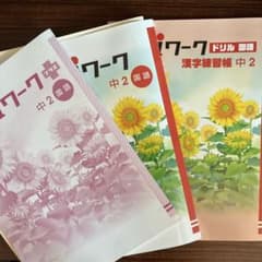 iワーク 中2 国語 3冊セットのサムネイル
