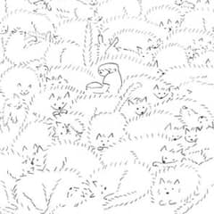 YUZU&RAY 様  専用のサムネイル