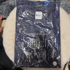 新品 星街すいせい　ライブツアー2024ロングＴシャツ　Lサイズ ＆ペンライトのサムネイル
