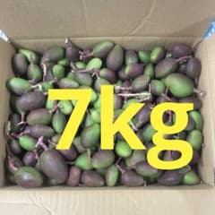 摘果マンゴー7kg - メルカリ