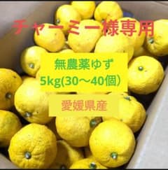 無農薬ゆず 5kg (30〜40個) 愛媛県産　チャーミー様専用のサムネイル