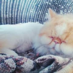 yuki 様専用♥のサムネイル