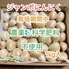 ジャンボにんにく 栽培期間中農薬・化学肥料不使用 1kg - メルカリ