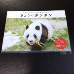 きょうのタンタン　気持ちが伝わる100枚びんせんのサムネイル