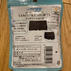スロギー　トリンプ　サニタリーショーツL ３個セットのサムネイル