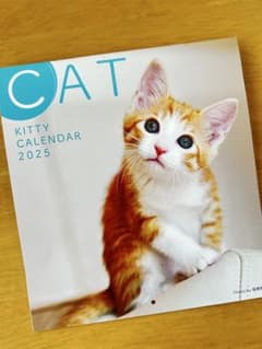 2025☆カレンダー☆猫 CAT☆壁掛けのサムネイル