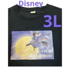 미품 디즈니 트레이너 알라딘 재스민 트레이너 3L 블랙