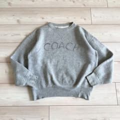 希少 USA製 60sビンテージ Wilson 前V 落書きスウェット グレー - メルカリ