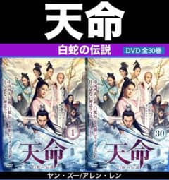 天命 白蛇の伝説DVD 全30巻 ヤン・ズー/アレン・レン - メルカリ
