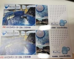 新江ノ島水族館　招待券　 2枚のサムネイル