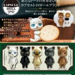 캡슐 인형 CAPSULE DOLL VOL.1 총 5 종 캡슐 장난감 고양이