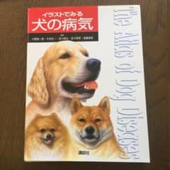 イラストでみる犬の病気のサムネイル