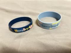 Saucy Dog ラバーバンド 2個セット - メルカリ