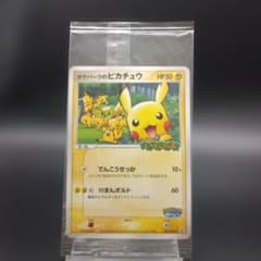未開封】ポケパークのピカチュウ PROMO 043/PCG-P - メルカリ