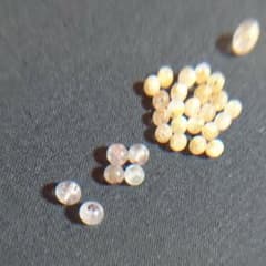 ラヴォ様専用のサムネイル