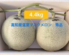 高知産　 温室マスクメロン　 秀品　 4.4kg 　2玉　 北海道沖縄発送不可 - 3