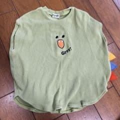 恐竜　100のサムネイル