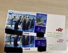 新江ノ島水族館 招待券のサムネイル