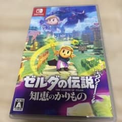 ゼルダの伝説 知恵のかりもの Nintendo Switchのサムネイル