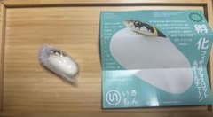 卵化 フィギュア＆ボールチェーン ヤマカガシのサムネイル