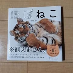 ほぼねこ とらのこ RIKU 写真集 2冊セットのサムネイル