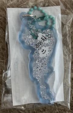 m*n様 レア色　びわ湖バレイ山頂限定　びわ湖キーホルダー　水色のサムネイル