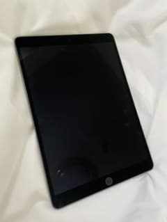 NobuNobu様専用iPad Air3 64GBのサムネイル