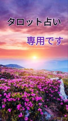 タロット占い 専用のサムネイル