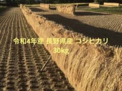 お米 30k ③のサムネイル