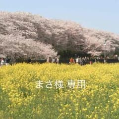 まさ様専用。のサムネイル