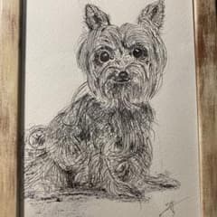 ヨークシャテリアのペン画(額縁なし)のサムネイル