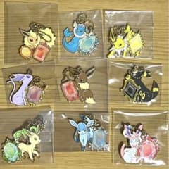 CRYSTAL DROPS 메탈 매력 키 체인 부이즈