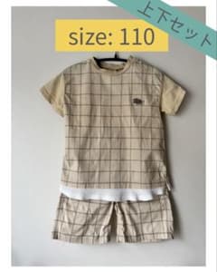 プティマイン　恐竜　トリケラトプス　セットアップ　Tシャツのサムネイル