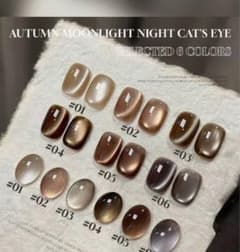 2025年新品　秋冬ネイル　ジェルネイル　6本カラーネイル　美　マグネットネイル 2025年 新作 未開封6本 ブラウン マグネットネイル 秋冬 ジェル