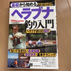 基礎から始めるヘラブナ釣り入門のサムネイル